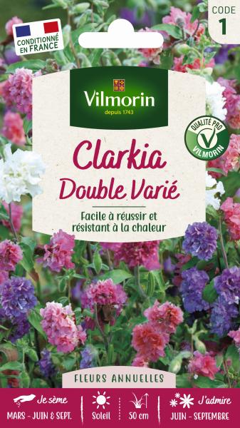 Fleurs - Clarkia Variée - PACKAGING_RECTO